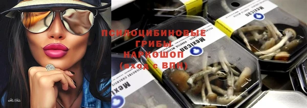 спиды Валдай