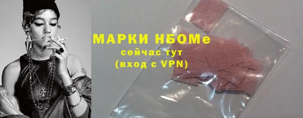 хмурый Осинники