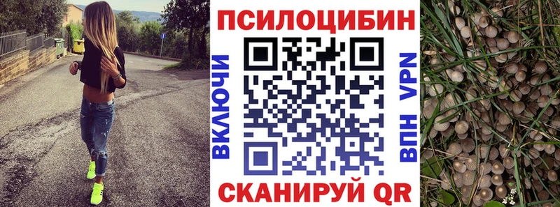 наркотики  Нижний Новгород  Галлюциногенные грибы прущие грибы 