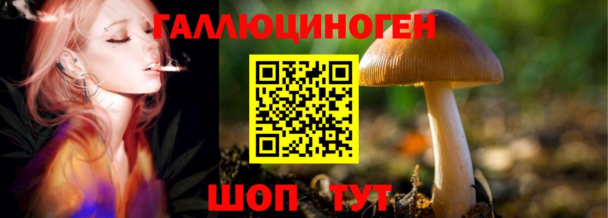 что такое наркотик  Вход с VPN  Нижний Новгород  Галлюциногенные грибы GOLDEN TEACHER 